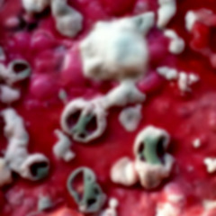 March in MonstroCity