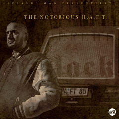 Haftbefehl - Hass Schmerz (Torky Tork RMX)  (The Notorious H.a.f.t. Remix Album)