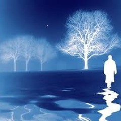 The Wayfaring Stranger (Dubstep Version) - Cosmic Cougar