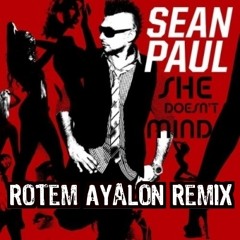 Sean Paul - She Doesn't Mind (Rotem Ayalon Short Remix)