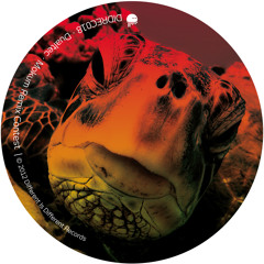 Dualtec - Mokum (Flight 19 Remix) [Different Is Different Records]