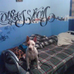 Entre las calles sedeftacento otras voces Lasuciedad(ladoEne)