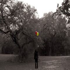 The Songs Of The Let Go