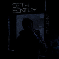 Seth Sentry - My Scene (Megatroid Remix)