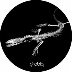 Space DJz - Constant Radius (Original Mix) [Phobiq]