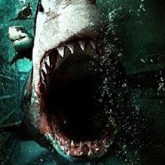 FASH-Shark Bite