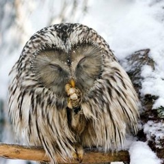 2C! - Isit(Flower duet Rmx)