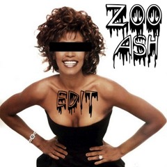 Zooash - Dancing In Houston (Whitney Houston vs Robyn)