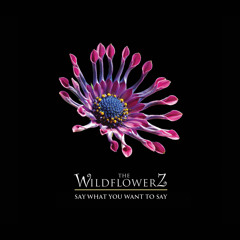 The Wildflowerz - Say What You Want