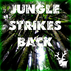 Jungle strikes bacK (Promo Mix)