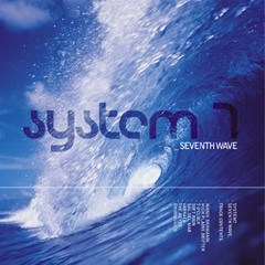 System 7- Manik Shamanik