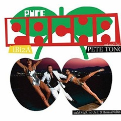 2004 Pure Pacha Ibiza CD1 - mixed by Pete Tong (Summer House)