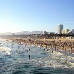 Dee Miller- Californina Dreaming