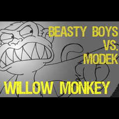 Modek vs. Beastie Boys - Willow Monkey (Aves MashUp) *Free Download*