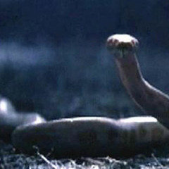 Rising Tides, Writhing Snakes