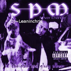 spm-the system