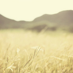 Mountain Slope
