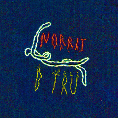 B Tru (House Mix)