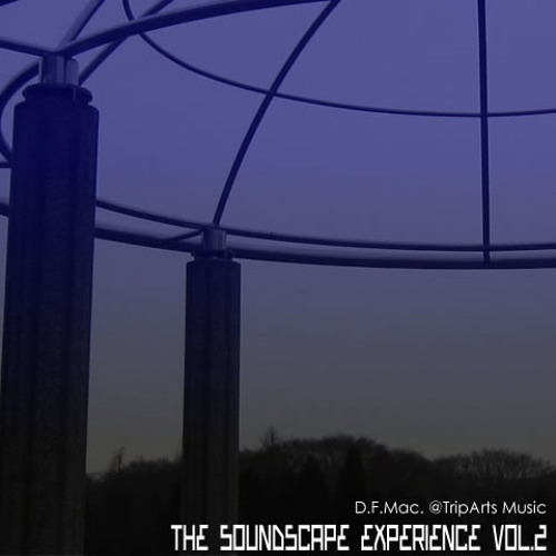 D.F.Mac. - The Soundscape Experience Vol.2