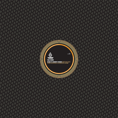 BCee - Keep The Faith feat. Robert Owens (Seba Remix) - Spearhead Records