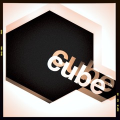 LANA DEL REY 'Video Games' (The Cube Guys Miami Bootleg)