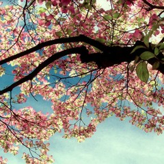 Naomi & Goro-01-The King Of Rock`n Roll &ndash; Prefab Sprout-320k