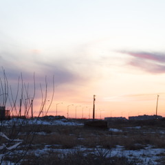 Wing (Patti Smith cover)