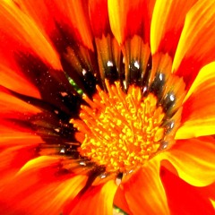 Rise and Shine  ...  C.T.U