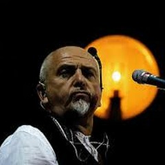 "Digging in the Dirt" - Peter Gabriel (Live)