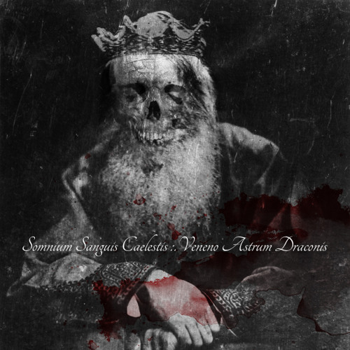 Somnium Sanguis Caelestis - The Voice Of Splintered Starlight
