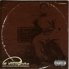 DL Incognito - Brand New (Fresh Off The Press)