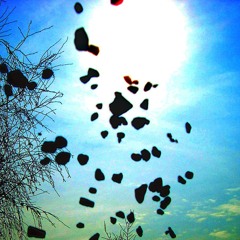 Dissolved Beryl Monolith (The Flying Disk Is The Savation For The Geocentric Oddness)