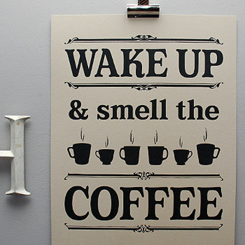 Meerdat - Waking up (260)