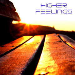 VoltOrbit - Higher feelings