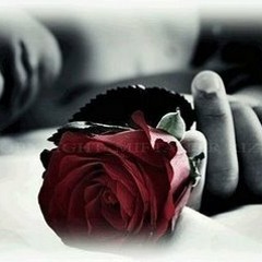 Amor Sincero (Original) - Pira Pura