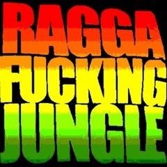 ELKAY VOL. 25 - ON A RAGGA TRIP