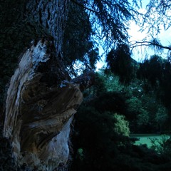 Project Nephilim - Let it Hurt [FREE DOWNLOAD]