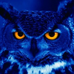 UNIR VERSOS URBANOS   A VOLTA DOS QUE NO FORAM