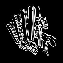 Klezmer Tryptych III. - Freylacher Bulgar