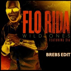 Flo Rida feat. Sia - Wild Ones {DJ BREBS EDIT!!!}