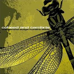 Coheed and Cambria -Delirium Trigger