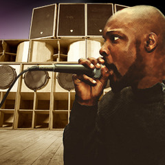 Slow Grind - Telephone Love Remix