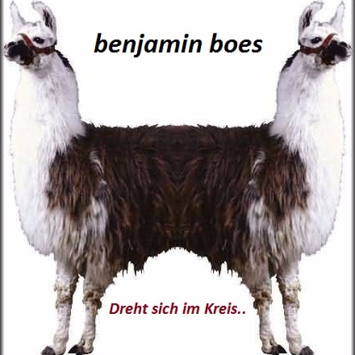 benjamin boes - Dreht sich im Kreis...