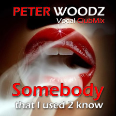 Somebody that I used 2 know (Vocal Clubmix)