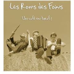 LES ROMS DES FOINS - Poumpala