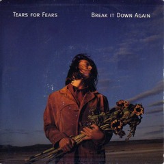 Tears For Fears - Break It Down Again (Ulisses Nunes Remix)
