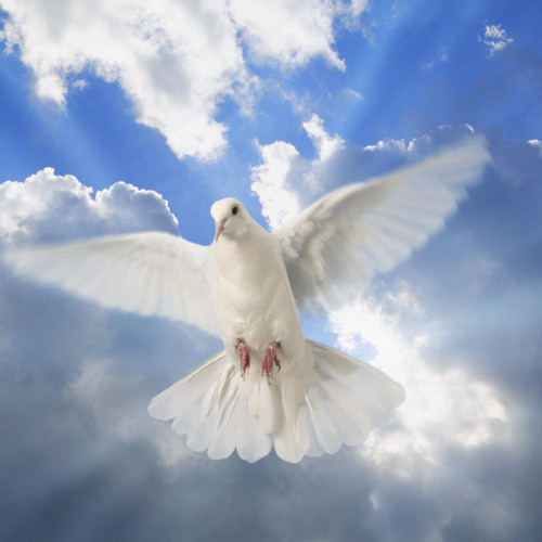 Saints And Sinners - Peace (Reuben Halsey Chillout Mix)