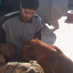 State of Trance 546 Omnia Feat Melissa Lorrita Halo