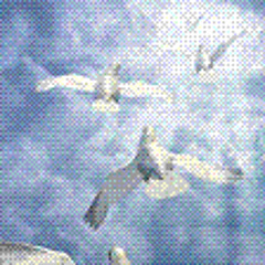 Sparks & J.Pesci- "Fly Away"