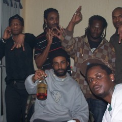 NOU PANI POU -2012- TADJMAN- by platinium ) DPV lion pwod 115